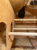 ★★ Solid Craftsman Cedar Chicken Coop ★★